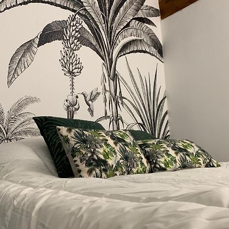 Appartement Cosy Centre Historique أفينيون المظهر الخارجي الصورة